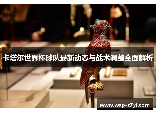 卡塔尔世界杯球队最新动态与战术调整全面解析