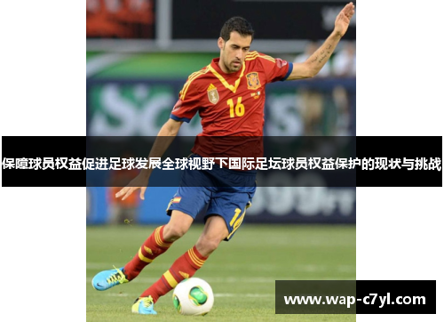 保障球员权益促进足球发展全球视野下国际足坛球员权益保护的现状与挑战