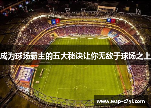成为球场霸主的五大秘诀让你无敌于球场之上