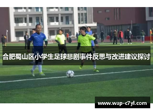 合肥蜀山区小学生足球悲剧事件反思与改进建议探讨