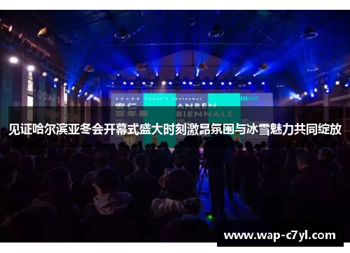 见证哈尔滨亚冬会开幕式盛大时刻激昂氛围与冰雪魅力共同绽放