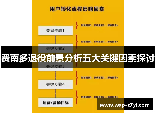 费南多退役前景分析五大关键因素探讨