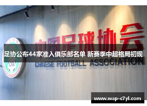 足协公布44家准入俱乐部名单 新赛季中超格局初现