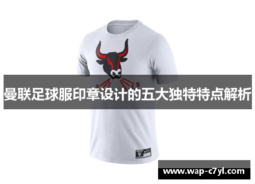曼联足球服印章设计的五大独特特点解析